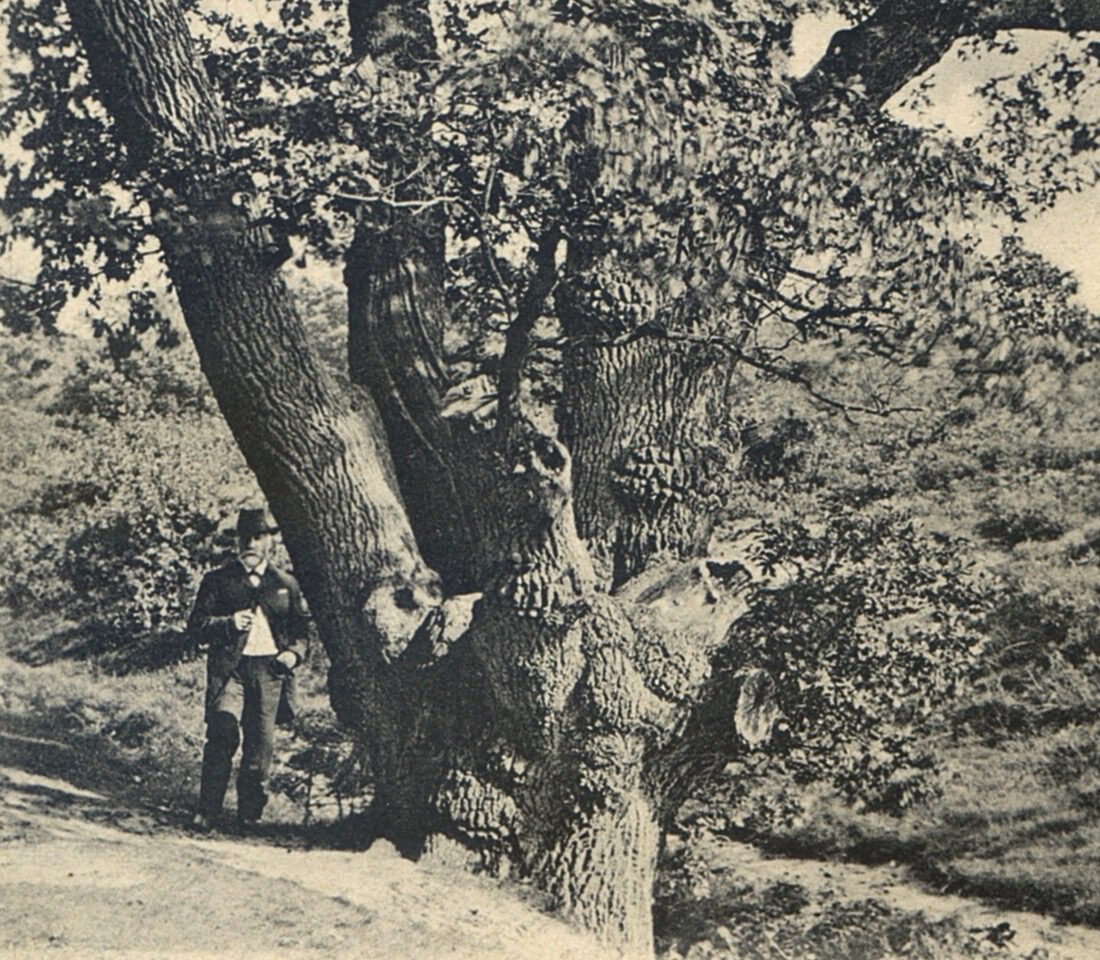 Wodanseik (later De Stomp) in 1913 jpeg kopie
